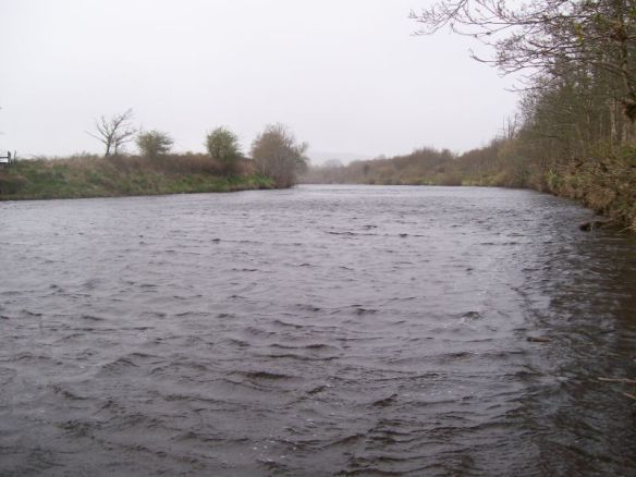 A windswept River Moy yesterday, East Mayo Anglers Association.